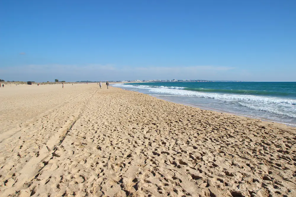 Meia Praia is among Algarve best beaches