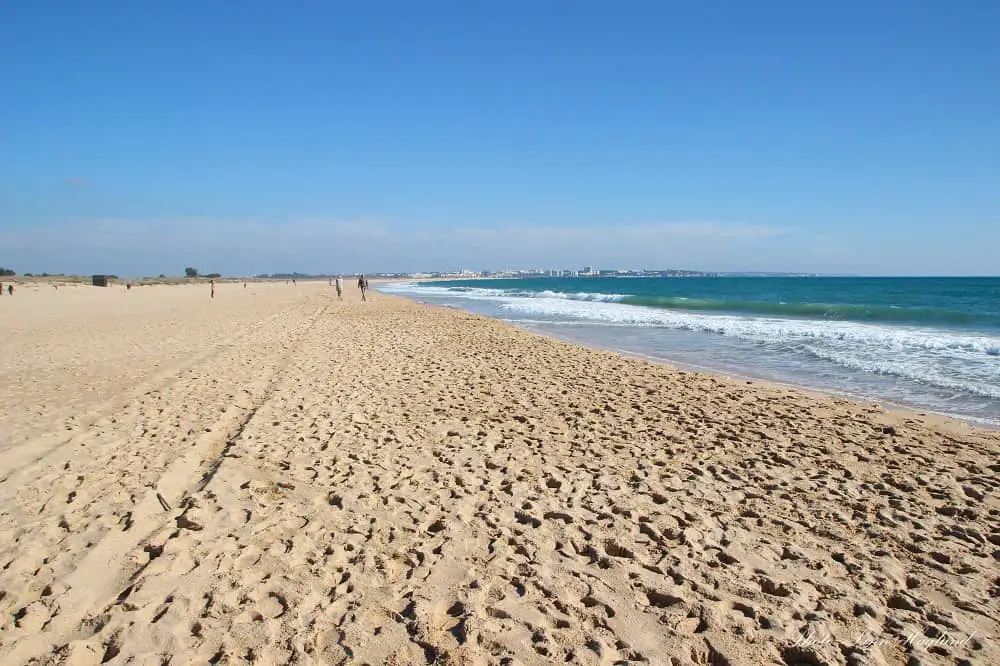 Meia Praia is among Algarve best beaches