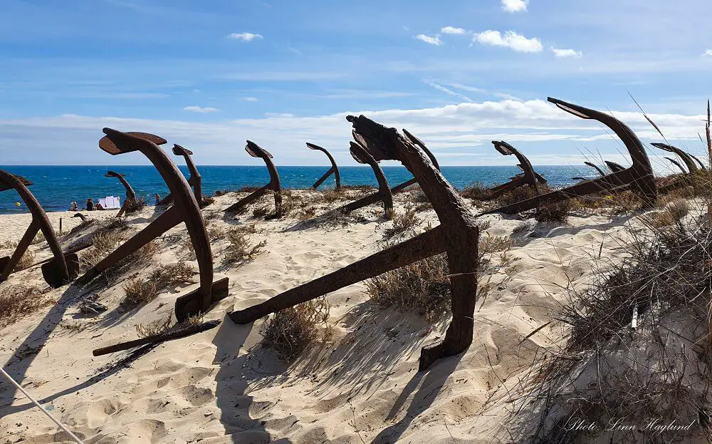 Day trips from Faro to the anchor cemetary