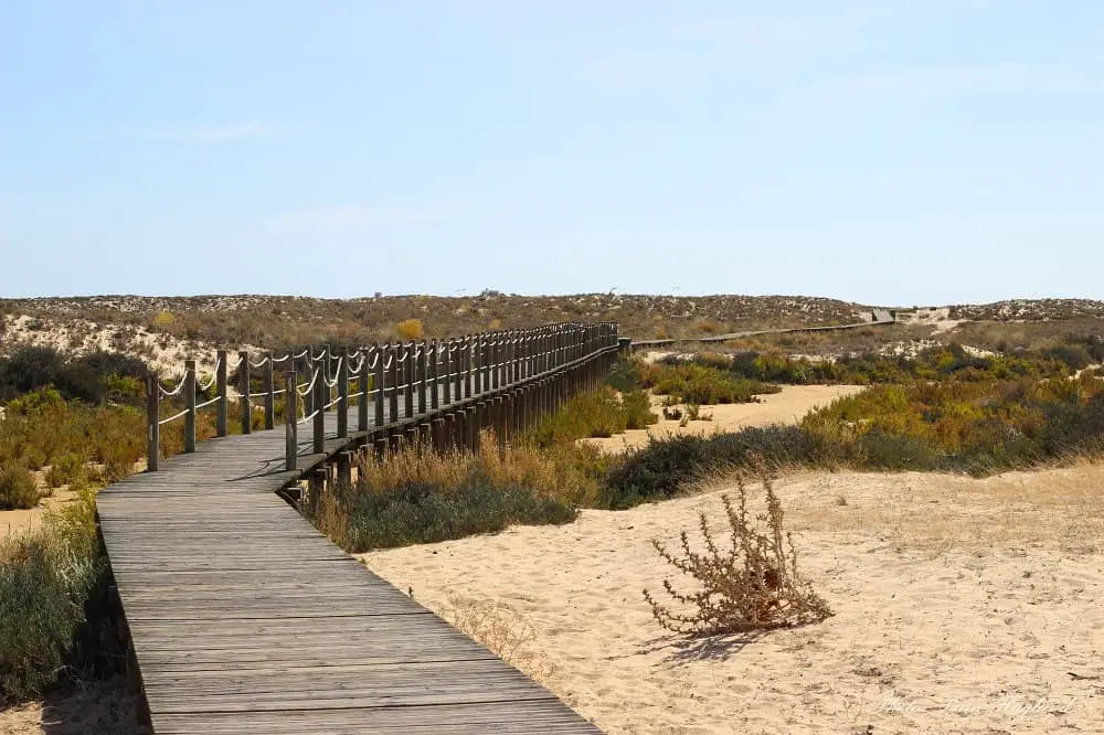 Ria Formosa Natural Park from Faro