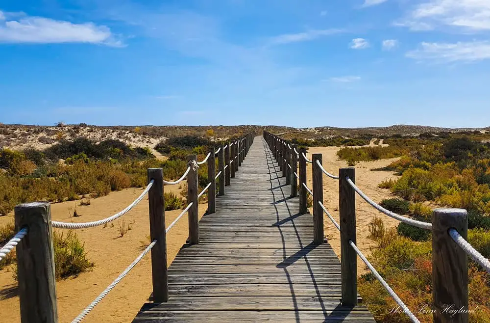 Ria Formosa day trips from Albufeira Portugal