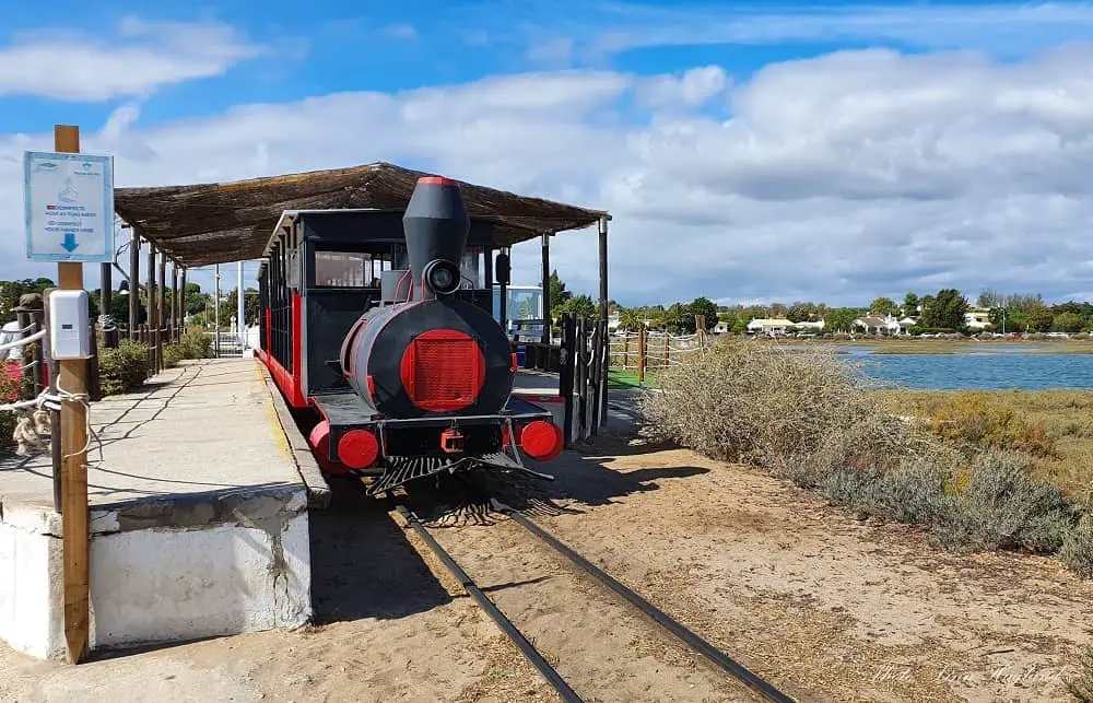 Train to Tavira island