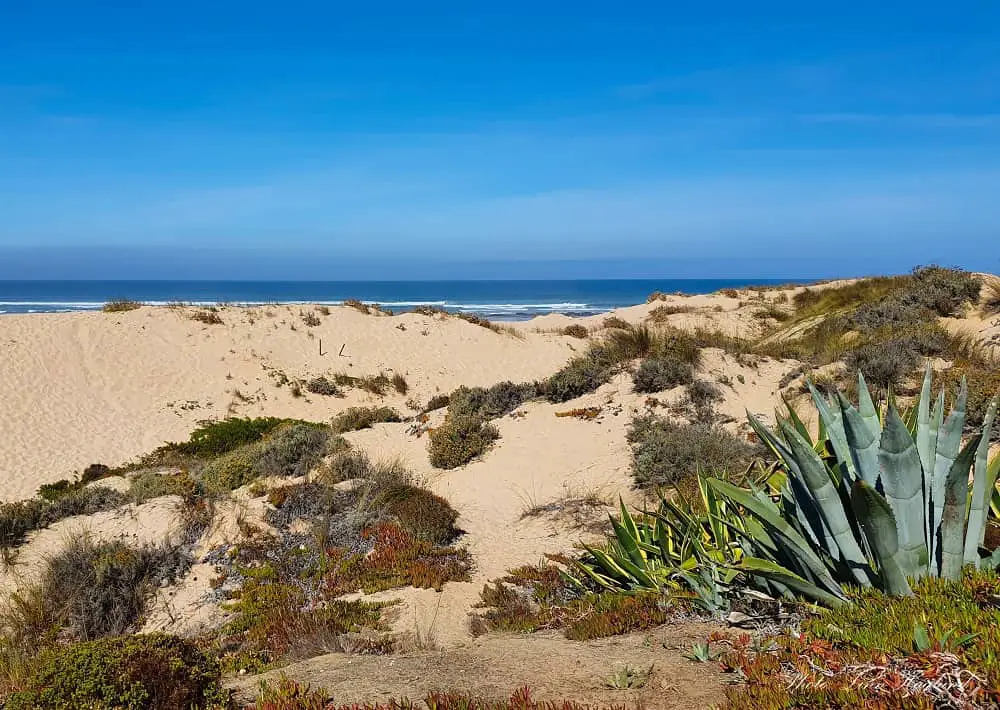 Praia de Monte Clerigo