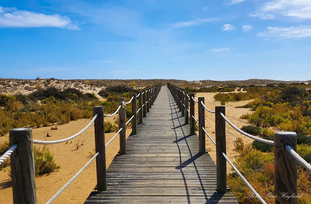 7 days in Algarve - Culatra Island