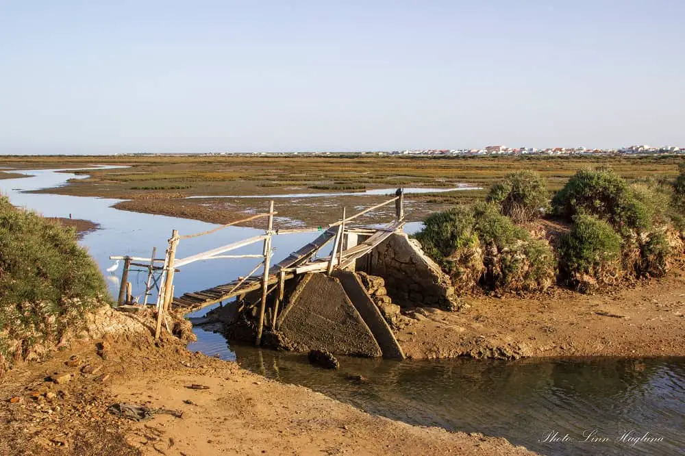 Winter in Faro Portugal - Ria Formosa Natural Park