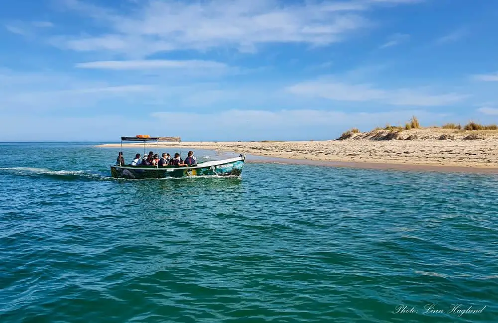 Faro Boat Tours