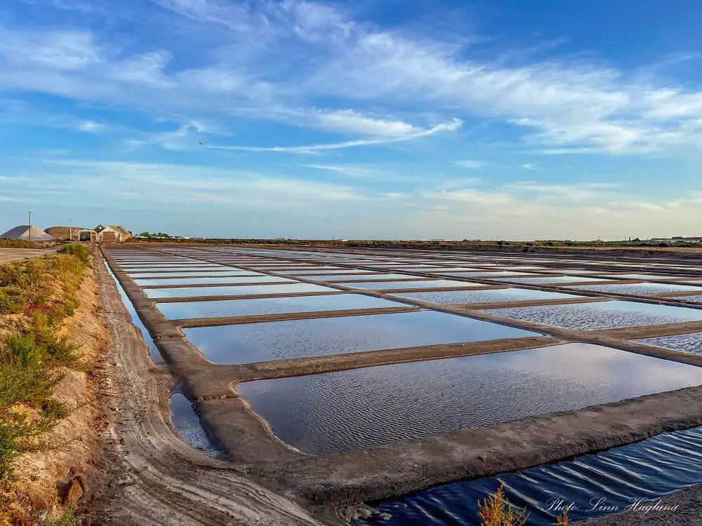 Tavira Salt Pans