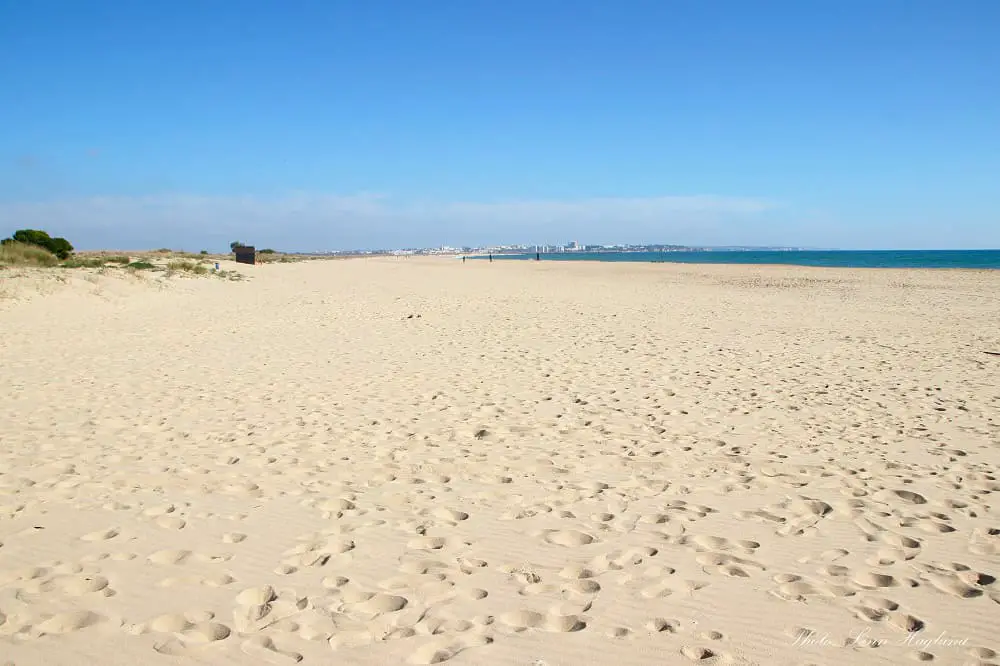 A long, empty stretch of sand at Meia Praia Beach.