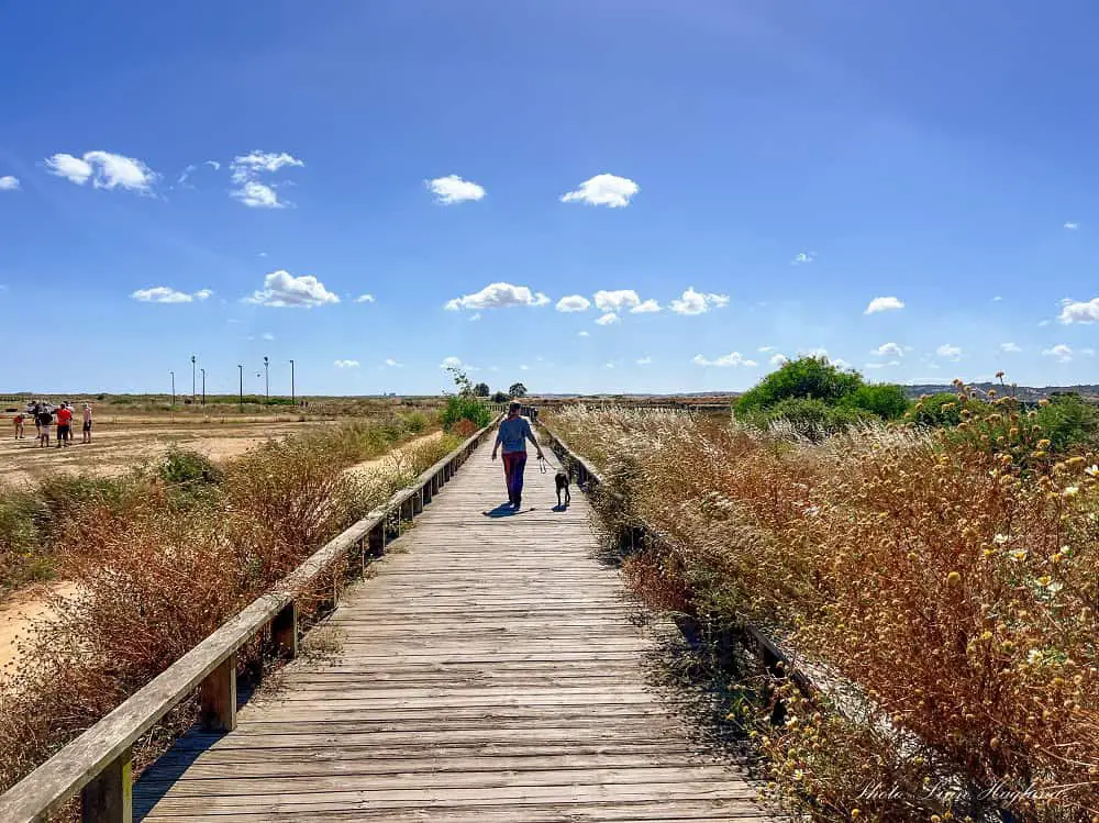 Me and Atlas walking at the beginning of Alvor Boardwalk.