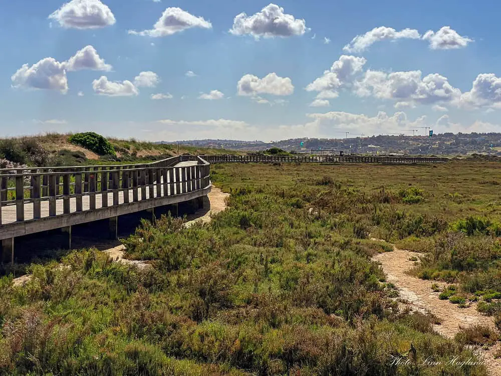 Boardwalk in Alvor Algarve Portugal crossing scrub and salt marches.